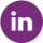 LinkedIn_violet