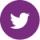 Twitter_violet